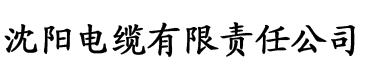 亚洲精品成a人在线观看夫电缆厂logo